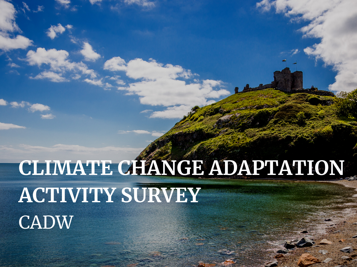 Climate Change Adaptation Activity Survey