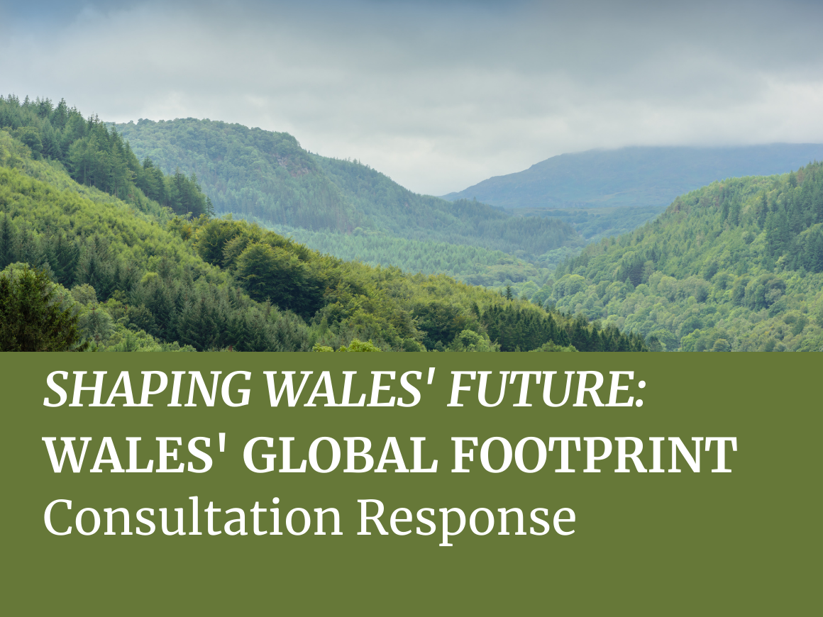 Shaping Wales' Future