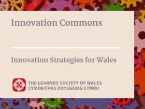 Innovation Commons: the 'Raw Materials' of Innovation