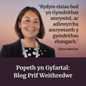 Popeth yn Gyfartal: Blog Prif Weithredwr