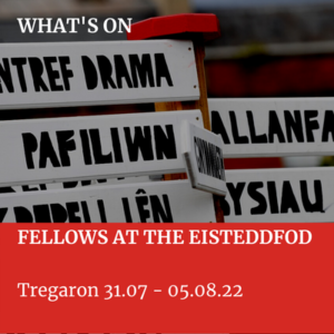 Fellows at the Eisteddfod