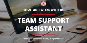 Team Support Assistant