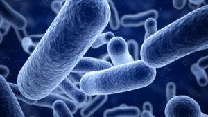 Bacteria - Background Images