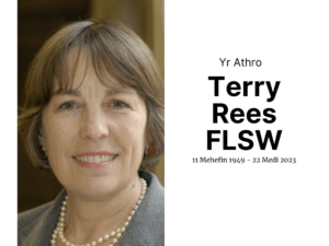 Yr Athro Terry Rees