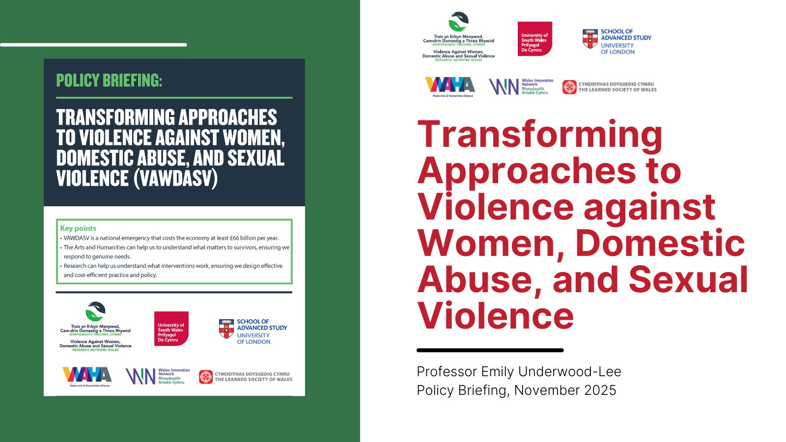 Graphic for report on Transforming Approaches to Violence against Women, Domestic Abuse, and Sexual Violence