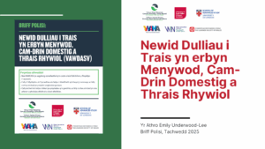 Graphic for report on Transforming Approaches to Violence against Women, Domestic Abuse, and Sexual Violence