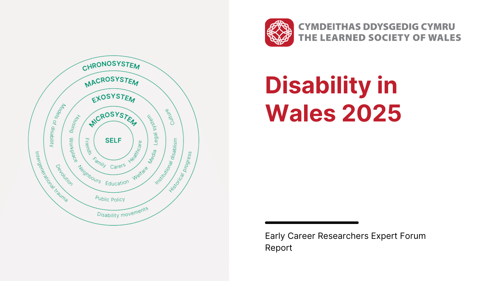 Graphic for Disability in Wales 2025 report