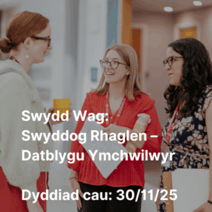 Graphic - Job Vacancy: Programme Officer - Researcher Development