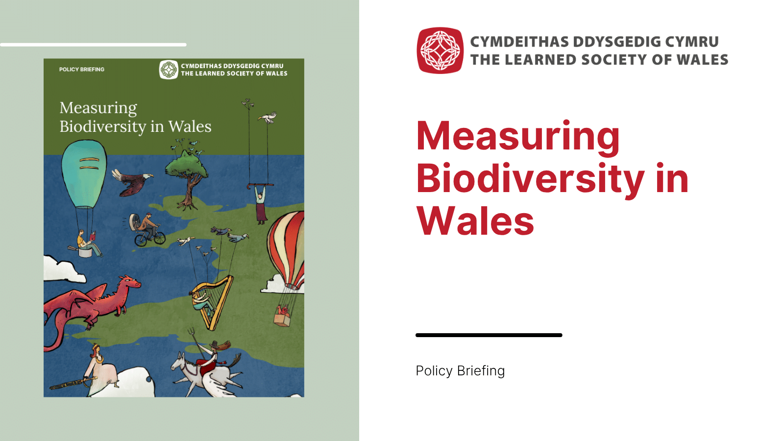 Graphic for Measuring Biodiversity in Wales publication