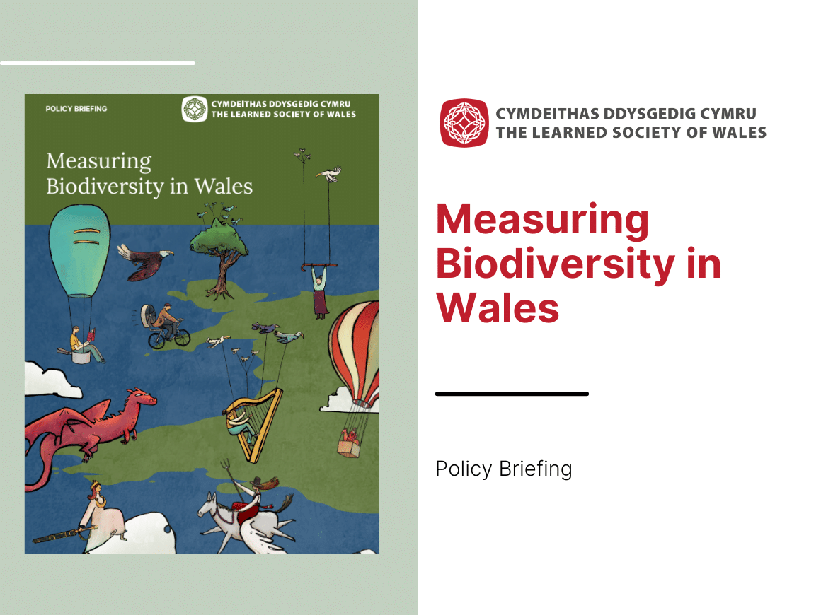 Cover sheet for Measuring Biodiversity in Wales report